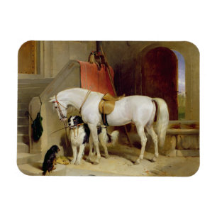 Prince George's Favorites (olja på canvas) Magnet