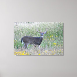 Prince of the Meadow (Hjort) Kanvastrycket Canvastryck