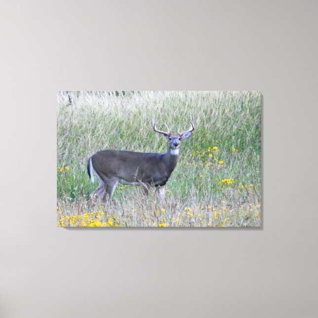 Prince of the Meadow (Hjort) Kanvastrycket Canvastryck (Framsida)