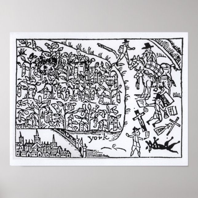 Prince Rupert Gömmer i en bean Poster (Framsidan)