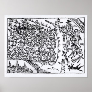 Prince Rupert Nederlag i en böna Poster