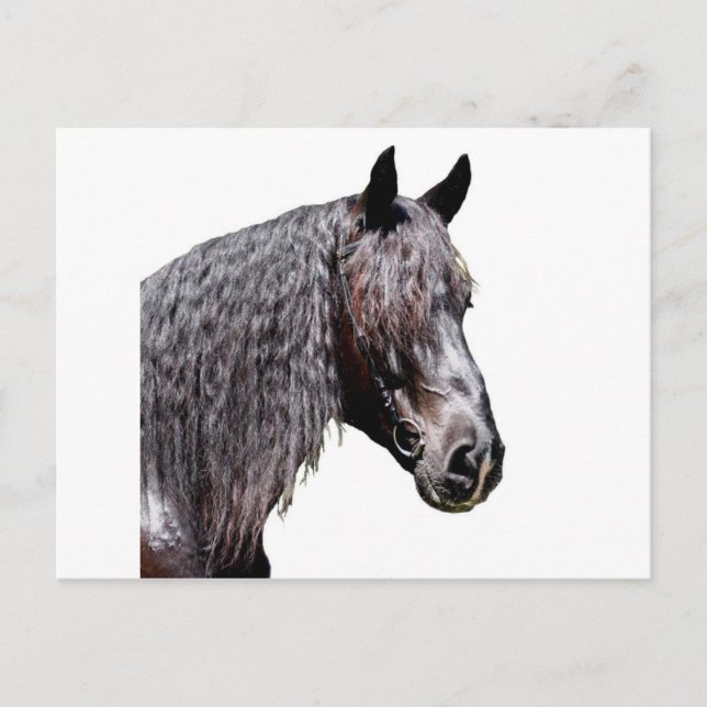 Prince Vykort (Framsida)