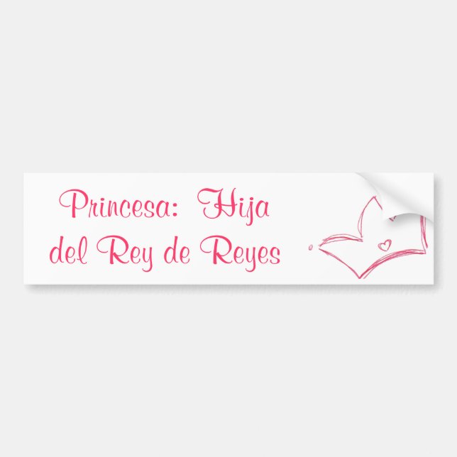 Princesa:  Hija del Rey de Reyes Bildekal (Framsidan)