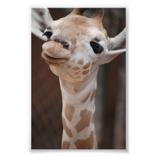 Princess 4X6 Print #1 Fototryck (Framsidan)