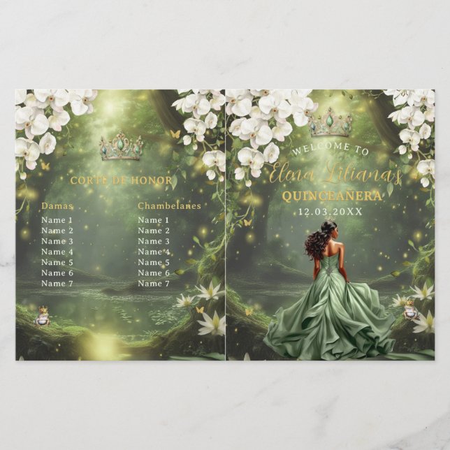 Princess and Frog Sage Green Quinceanera Program (Framsida)