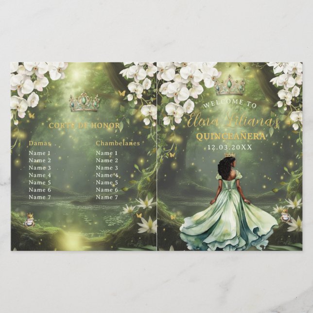 Princess and Frog Sage Green Quinceanera Program (Framsida)
