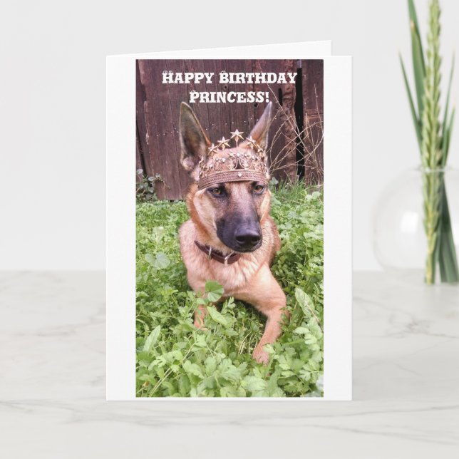 Princess Birthday Card med belgiska Malinois Kort (Framsida)