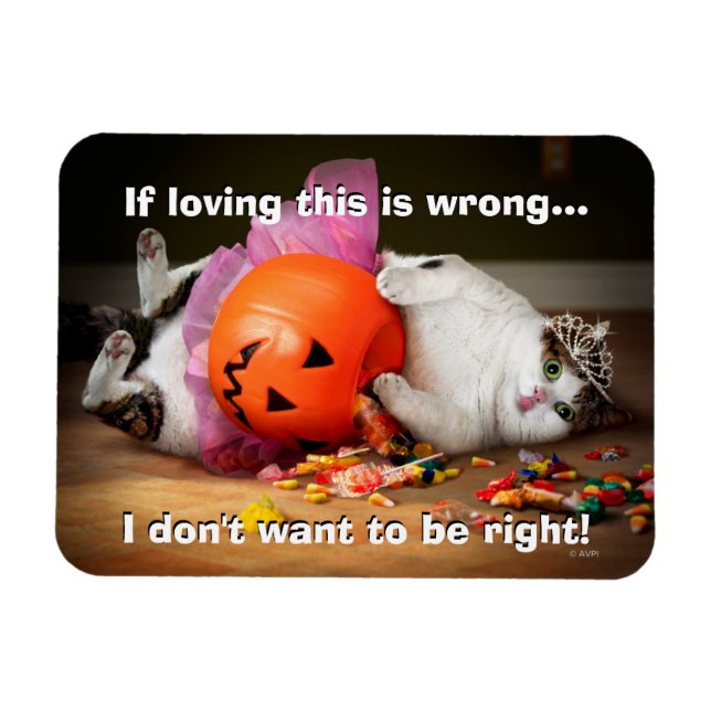 Princess Cat With Candy Bucket Magnet (Horisontell)
