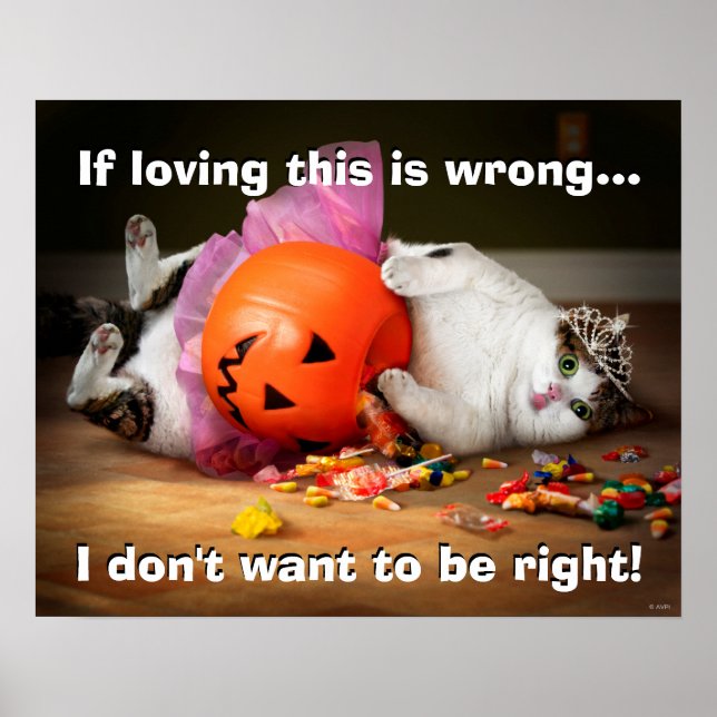 Princess Cat With Candy Bucket Poster (Framsidan)