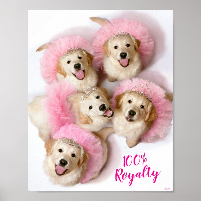 Princess Dogs in Tiaras Poster (Framsidan)
