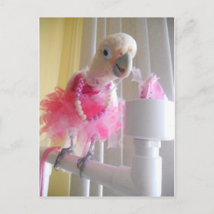 Princess Ella Postcard Vykort