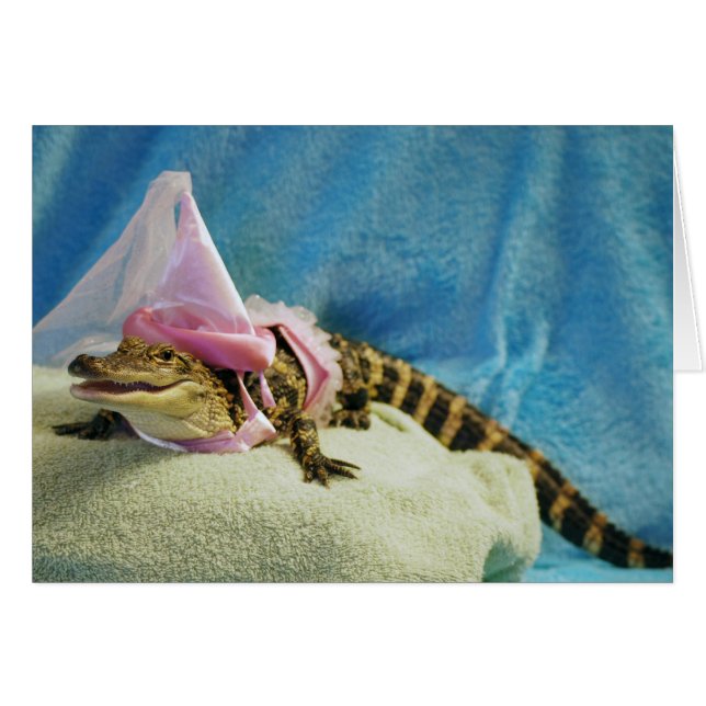 Princess Encentmynt Kort (Framsidan Horizontal)