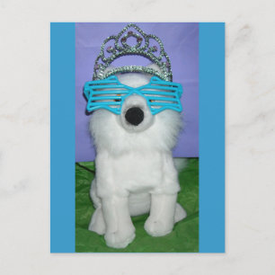 Princess Humor/Tiara Vykort