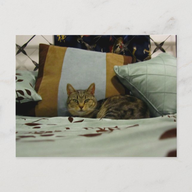 Princess Indigo Vykort (Framsida)