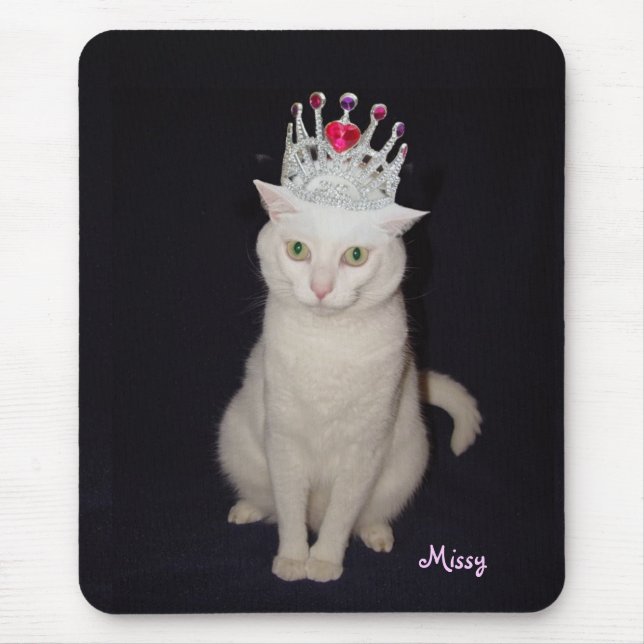 Princess Katt Musmatta (Framsidan)