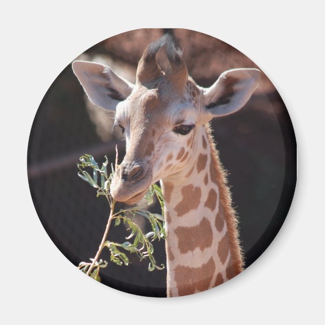 Princess Magnet #2 (Framsidan)