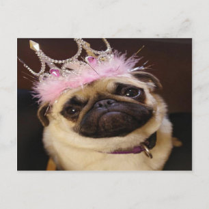 Princess Mops Vykort