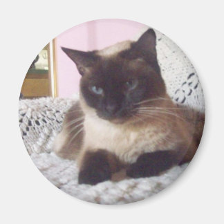 Princess på soffan magnet