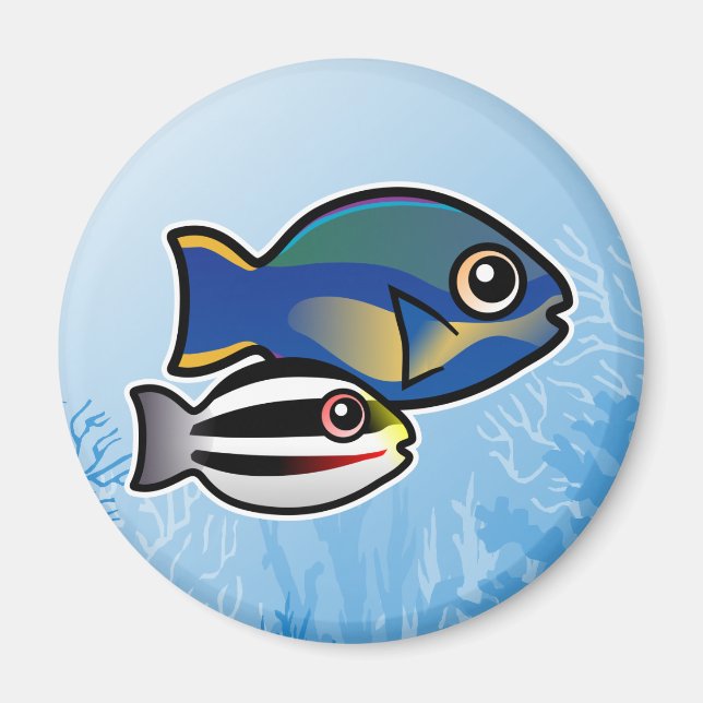 Princess Parrotfish Magnet (Framsidan)