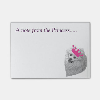 Princess Pomeranian noterar original- konstverk Post-it Block
