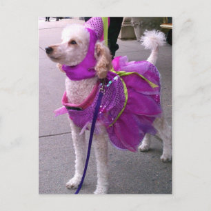 Princess Puppy Vykort