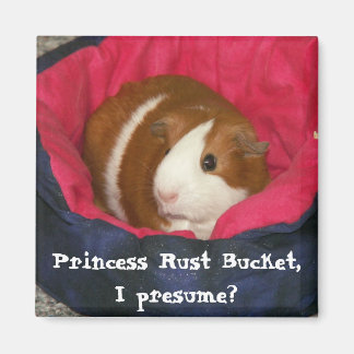 Princess Rust Bucket, antar jag? Magnet