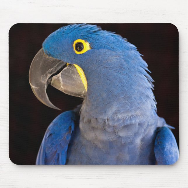 Princess Tara Mousepad Musmatta (Framsidan)