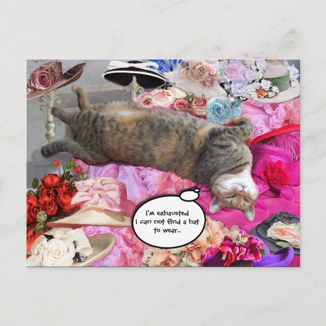 Princess Tatus Cat Vykort (Framsida)