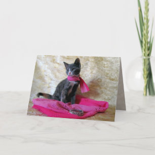 Princess Tianas födelsedag - Katt-/kattkort Kort
