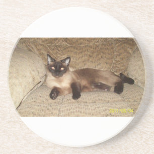Princess Underlägg