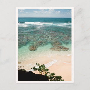 Princeville Kauai Hemlig Strand Stillbild Stilla H Vykort