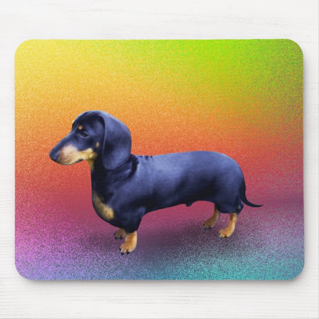 Princint Dachshund i en Rainbow Mousepad Musmatta (Framsidan)