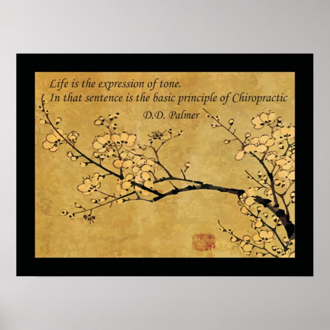 Princip för hälsocitat av chilenska läkare poster (Framsidan)