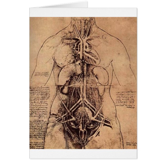 Principorganen och kärl- och Urino-Genita Hälsningskort (Framsidan)