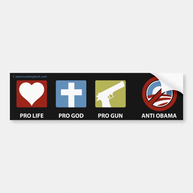 Princples mot Obama Bildekal (Framsidan)