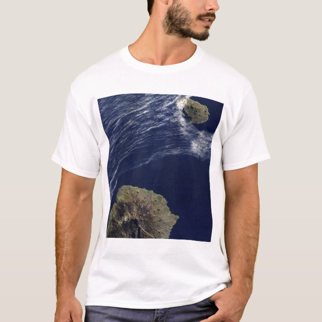 Prins Edward Islands satellitsyn T Shirt (Framsida)