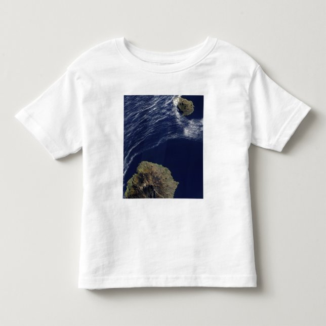 Prins Edward Islands satellitsyn Tee Shirt (Framsida)
