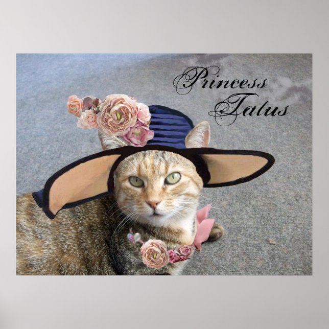 PRINSESS TATUS /ELEGANT KATT, STOR DIVAHAT OCH ROS POSTER (Framsidan)