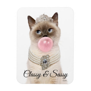 Prinsessan Cat Bubble Gum Magnet