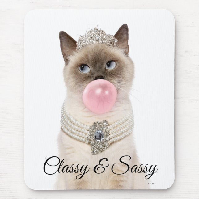 Prinsessan Cat Bubble Gum Musmatta (Framsidan)