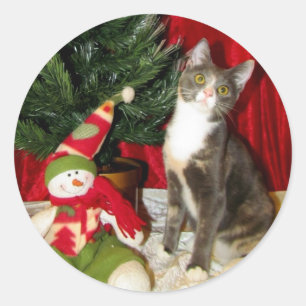 Prinsessan Tianas julgran - Katt / Kattunge Runt Klistermärke