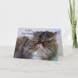 Prinsesskort för Tack Persian Calico Kattunge Kort