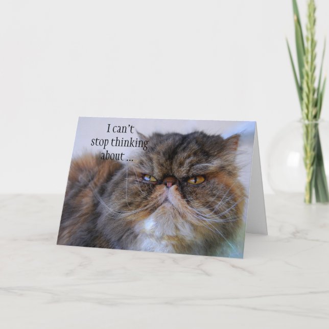 Prinsesskort för Tack Persian Calico Kattunge Kort (Framsida)