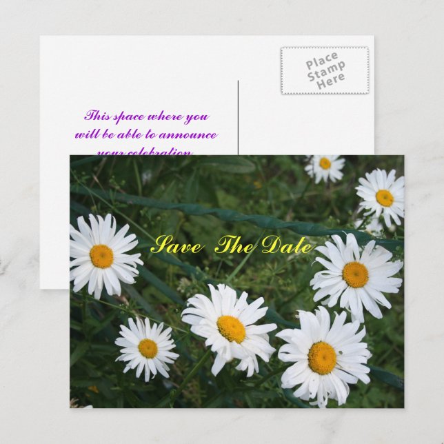 Prinskorvblommor Spara Datum Postkort Meddelande Vykort (Fram/baksida)