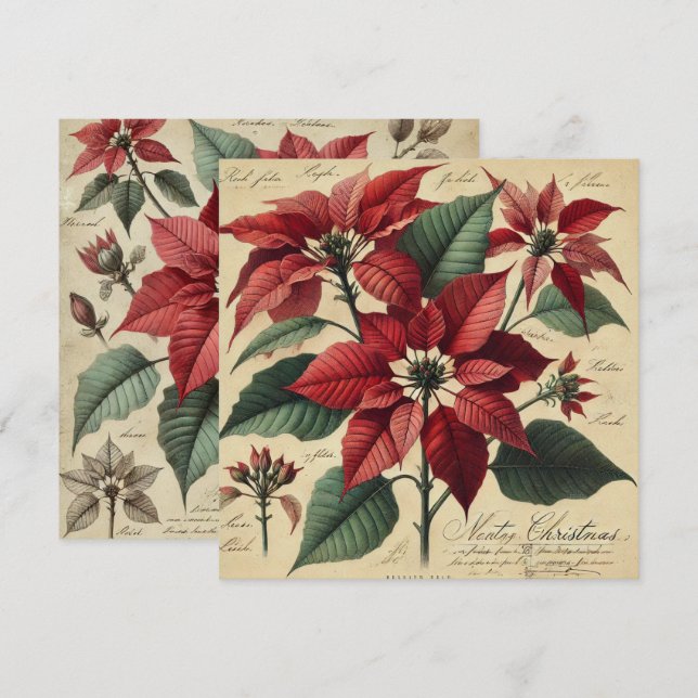 Printable Vintage jul Poinsettia Botanique Inbjudningar (Fram/baksida)
