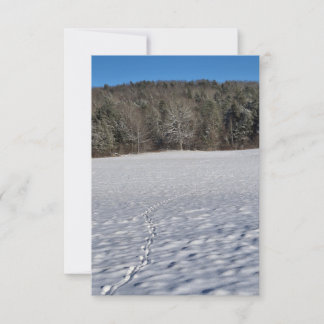 Prints in a snowy field Note Card Anteckningskort