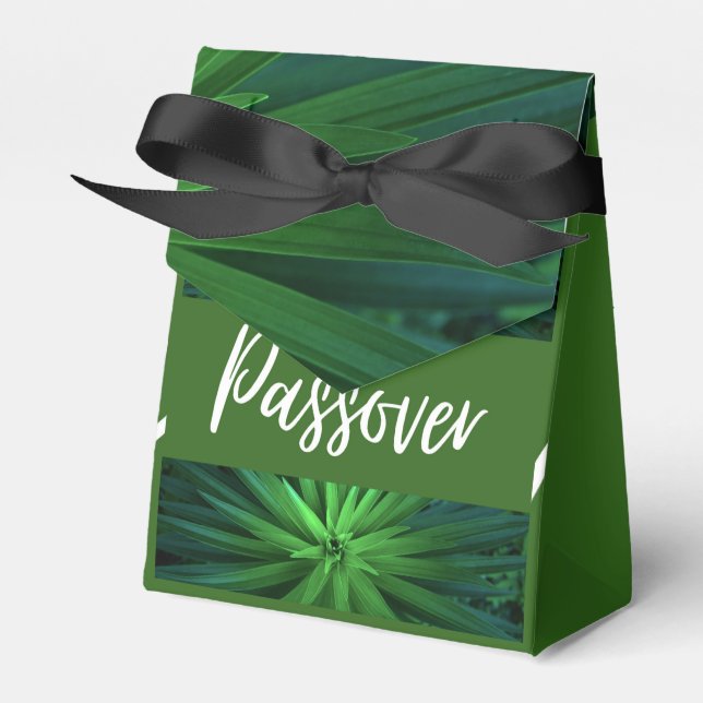 Prioriterad förpackning Party Box Pesach Festival Presentaskar (Framsidan Sidan)
