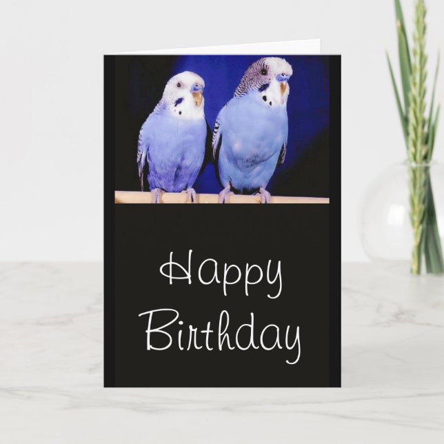 Prioritet (Budgies) Grattis på födelsedagen-hälsni Kort (Framsida)