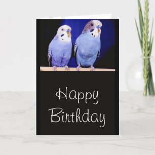 Prioritet (Budgies) Grattis på födelsedagen-hälsni Kort