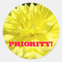 Prioritet! dekaler Anpassade gula Dahlia-blommor